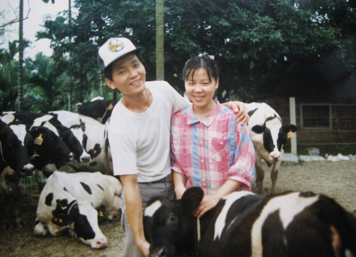 顏志輝夫妻創業初期與乳牛合影